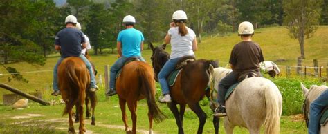 horse lessons|Iba pa.